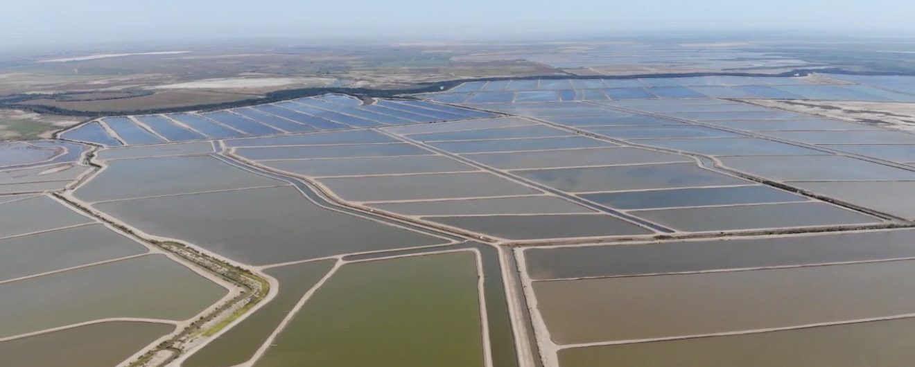 Aerial view of the ACUACOM Farms shrimp ponds in Sinaloa, Mexico
